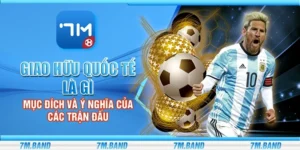 Giao hữu quốc tế là gì - Mục đích và ý nghĩa của các trận đấu