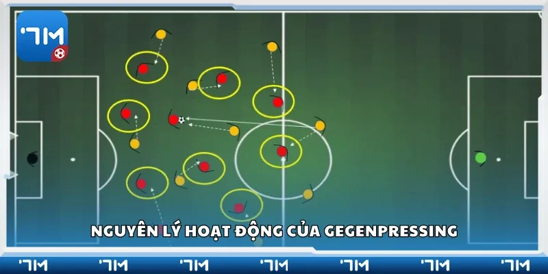 Khám phá nguyên lý hoạt động của Gegenpressing