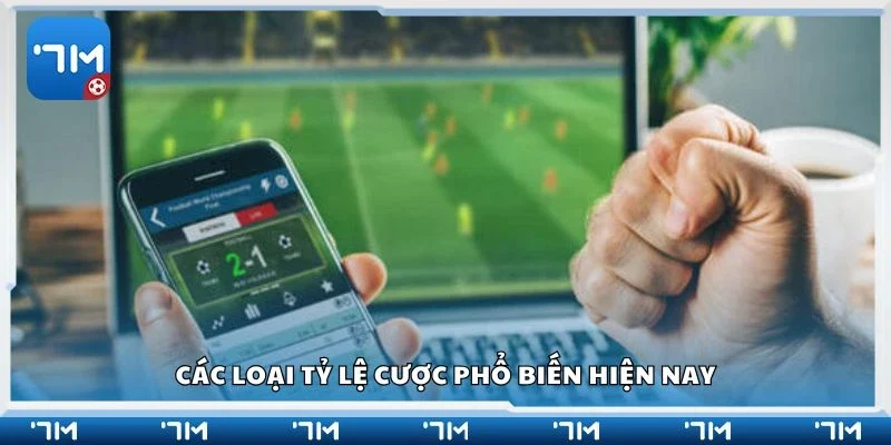 Các loại tỷ lệ cược phổ biến hiện nay