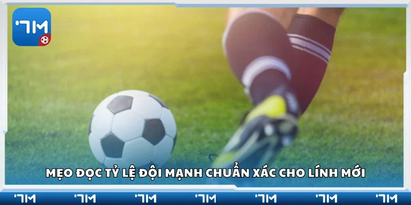 Các mẹo đọc tỷ lệ đội mạnh chuẩn xác cho lính mới