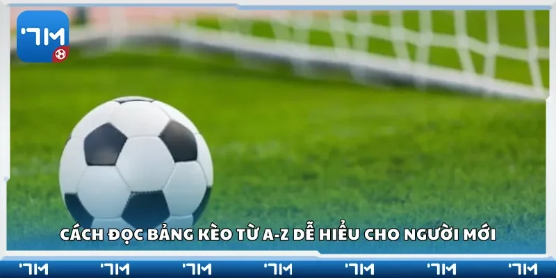 Cách đọc bảng kèo từ A-Z dễ hiểu cho người mới