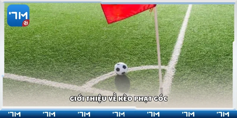 Giới thiệu về kèo phạt góc