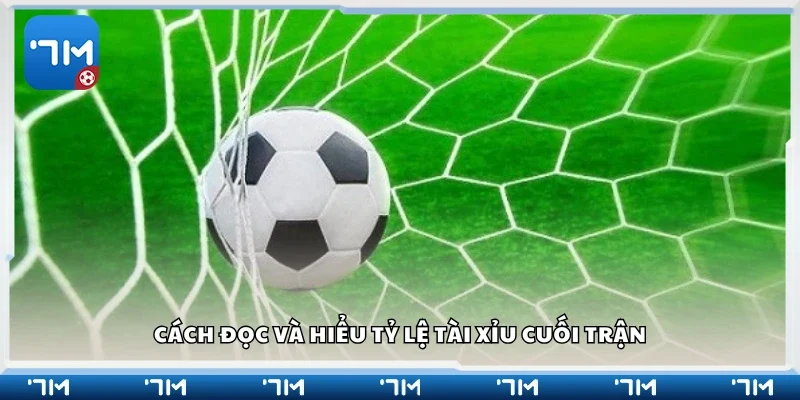 Hướng dẫn cách đọc và hiểu tỷ lệ tài xỉu cuối trận