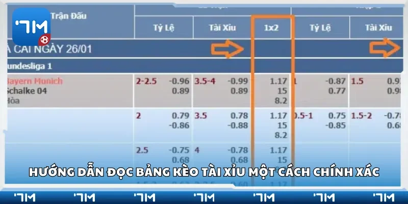 Hướng dẫn đọc bảng kèo tài xỉu một cách chính xác