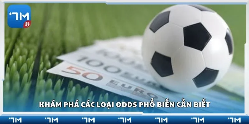 Khám phá các loại odds phổ biến cần biết