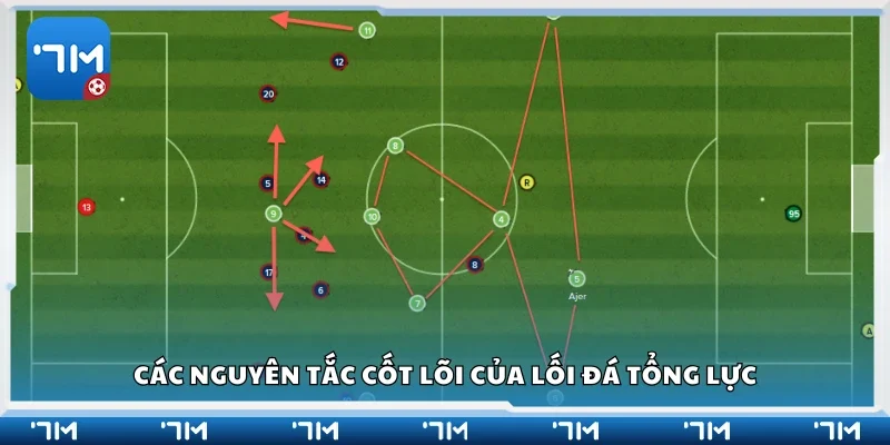 Một số nguyên tắc cốt lõi của lối đá tổng lực