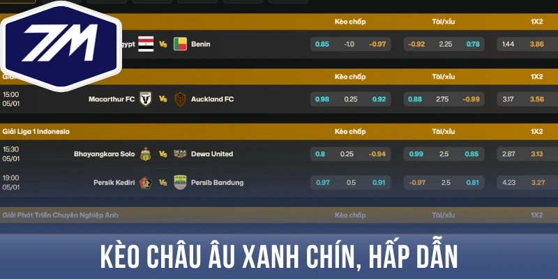 Kèo châu Âu xanh chín, hấp dẫn