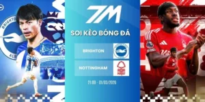 soi kèo bóng đá Brighton vs Nottingham hôm nay ngày 01/03/2026 - NHA