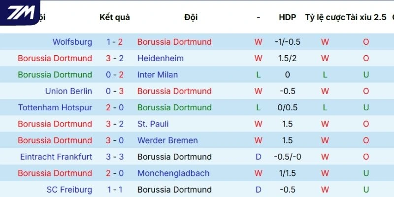 Thành tích của Dortmund tại mọi đấu trường