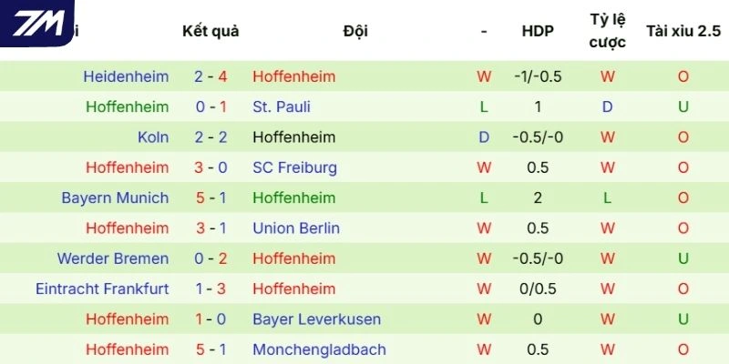 Kết quả ra sân gần đây của Hoffenheim