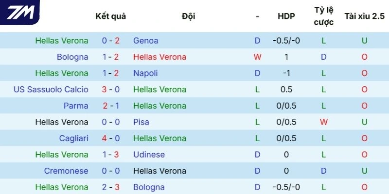 Phong độ thi đấu thời gian qua của Hellas Verona