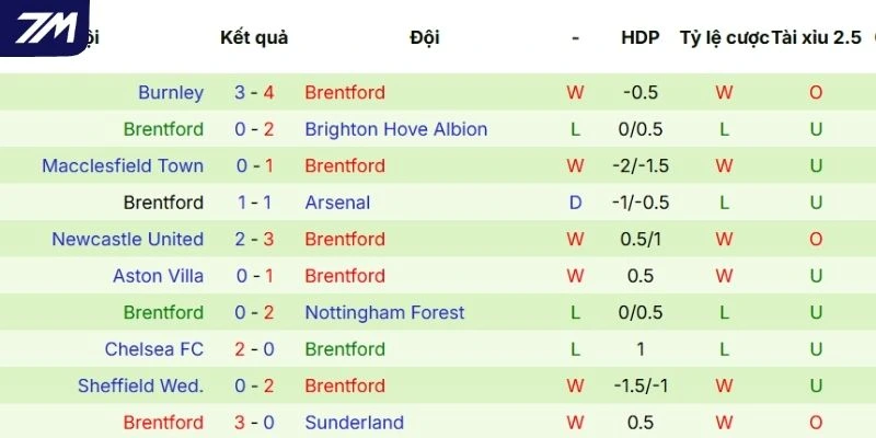 Thành tích Brentford ra sân trong 5 trận gần đây