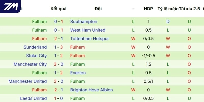 Thành tích ra sân của Fulham thời gian qua