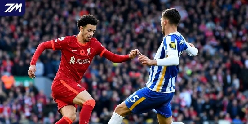 Tình hình Brighton vs Liverpool